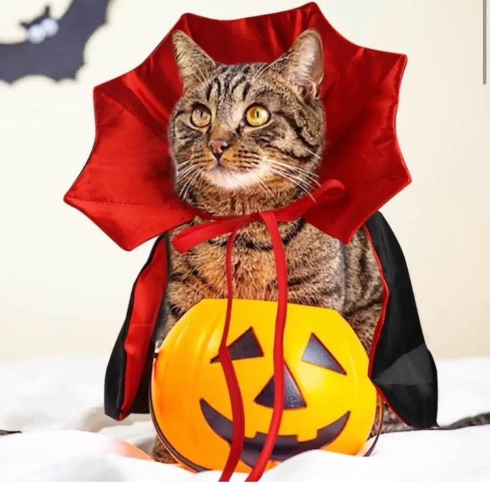 Ablaze Zai Vampire Cat Costume